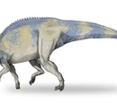 Brachylophosaurus