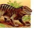 Cynognathus