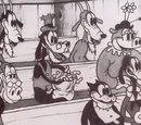 Histoire de Dingo