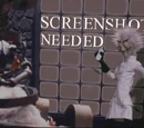 Screenshot Guidelines