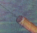 TNT