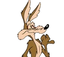 Wile E. Coyote