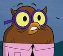 Owl