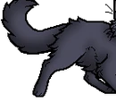 Stormfur