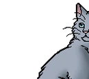 Mistystar