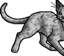 Ashfur (TC)