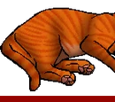 Firestar