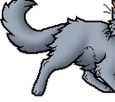Bluestar