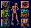 Simulacrum