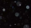 Orb