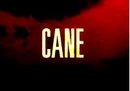 Cane.jpg