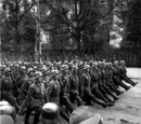 Military of New Prussia