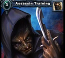 Assassin Training
