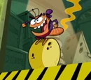Stink Bug