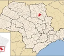 Ribeirão Preto no mapa