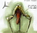 Tripod Hopper