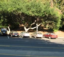 Griffith Park