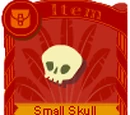 Small Skull