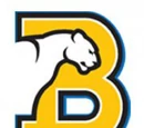 Birmingham-Southern Panthers