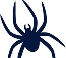 Richmond Spiders