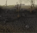 Coal Trucks