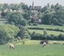 Rural issues