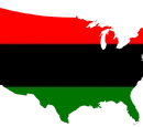 Black American Revolution