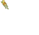 Dofusteuse