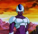 Cooler