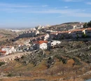 Main Page