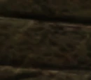 Zhjaeve