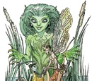 Fey
