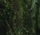 Pandora