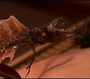 Goa'uld