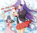 Do You Like Rabbit?