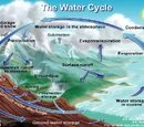 Hydrological cycle