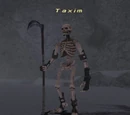 Taxim