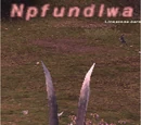 Npfundlwa