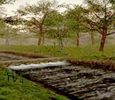 East Ronfaure