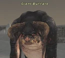 Giant Buffalo