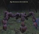Aydeewa Diremite
