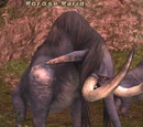 Morose Marid