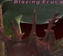 Blazing Eruca