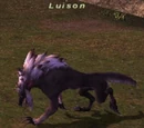 Luison