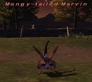 Mangy-tailed Marvin