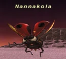 Nannakola