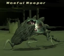 Woeful Weeper