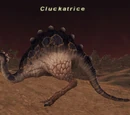Cluckatrice