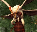 Kalos Eunomia