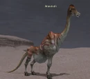 Nandi